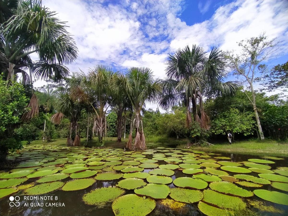 Jacamar Lodge Expeditions 이키토스 외부 사진