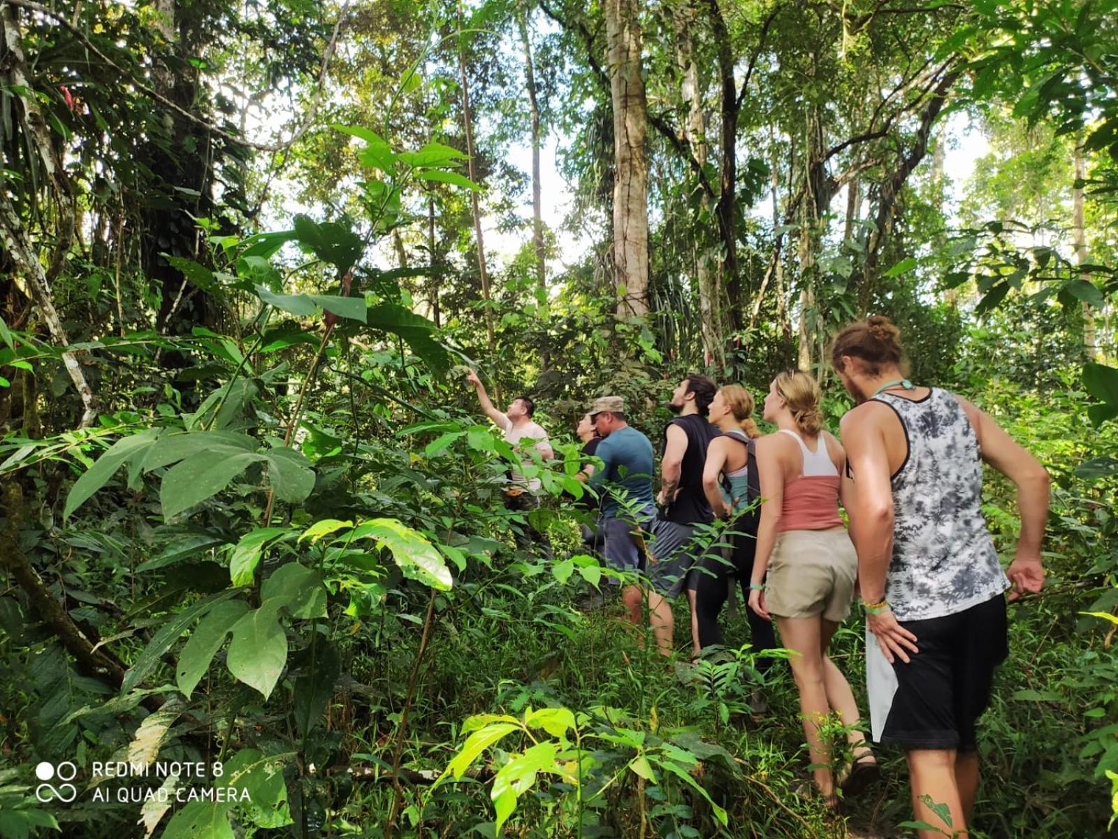 Jacamar Lodge Expeditions 이키토스 외부 사진
